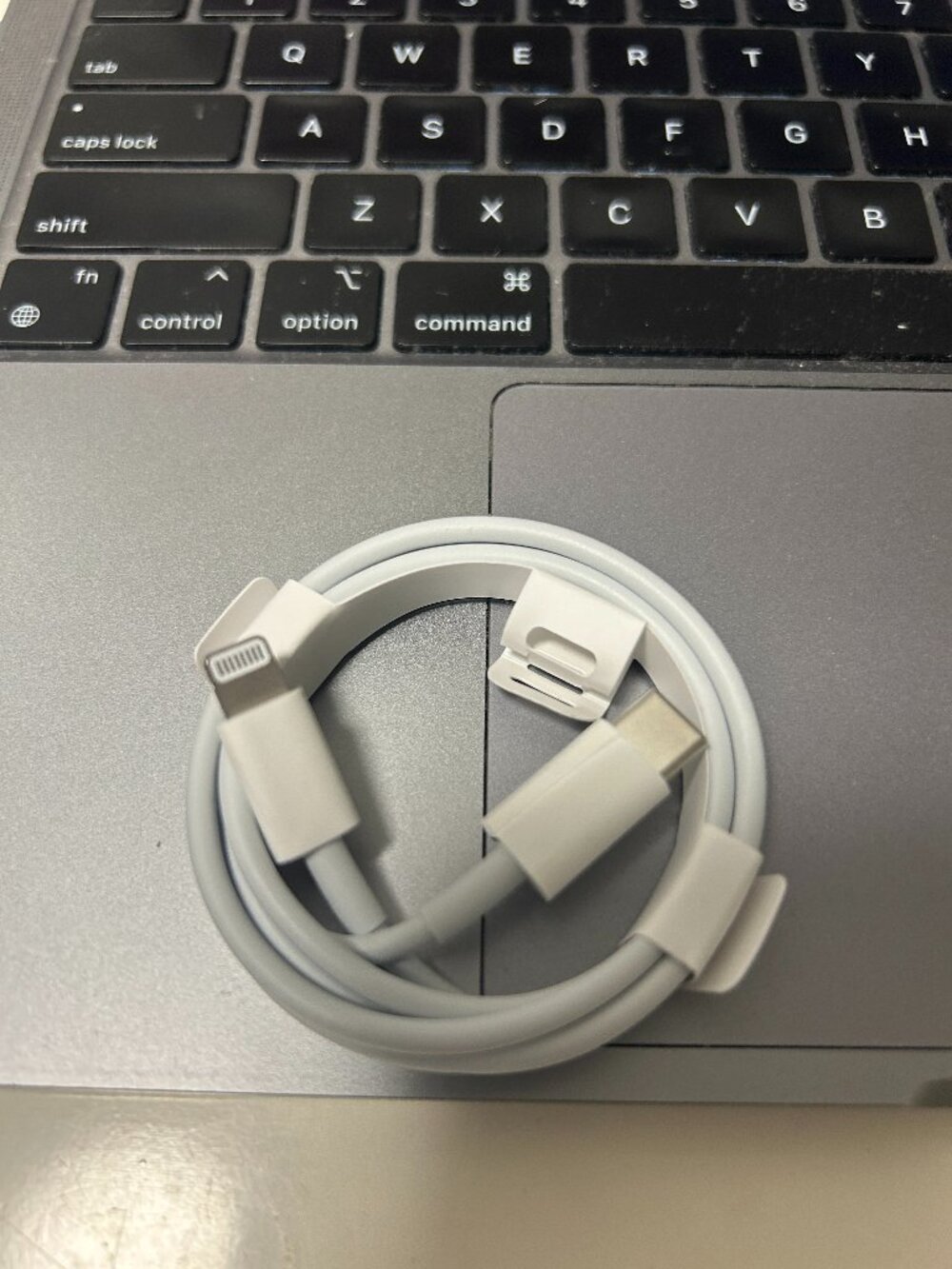 BRAND NEW Apple USB-C Lightening Cable